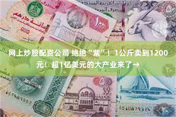 网上炒股配资公司 绝绝“紫”！1公斤卖到1200元！超1亿美元的大产业来了→