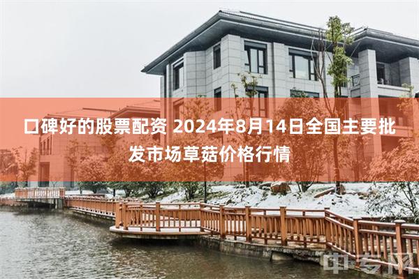 口碑好的股票配资 2024年8月14日全国主要批发市场草菇价格行情