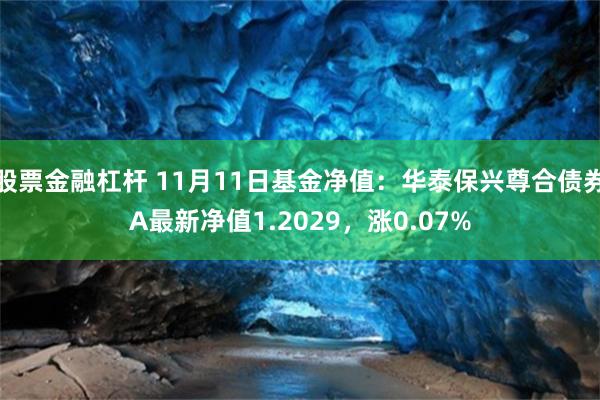 股票金融杠杆 11月11日基金净值：华泰保兴尊合债券A最新净值1.2029，涨0.07%