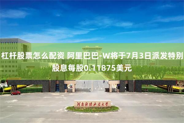 杠杆股票怎么配资 阿里巴巴-W将于7月3日派发特别股息每股0