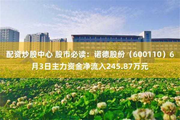配资炒股中心 股市必读：诺德股份（600110）6月3日主力