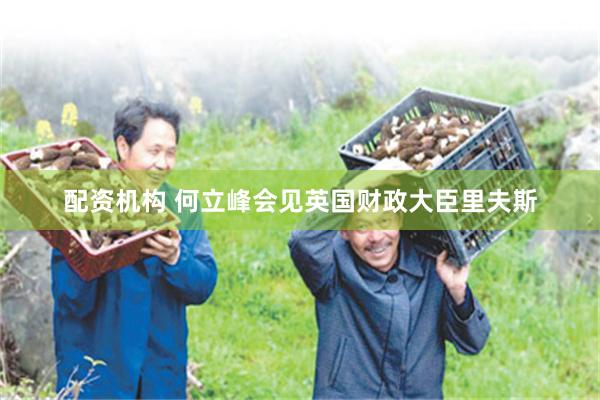 配资机构 何立峰会见英国财政大臣里夫斯