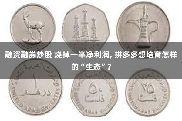 融资融券炒股 烧掉一半净利润, 拼多多想培育怎样的“生态”?