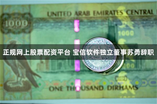 正规网上股票配资平台 宝信软件独立董事苏勇辞职