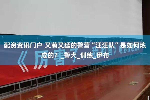 配资资讯门户 又萌又猛的警营“汪汪队”是如何炼成的？_警犬_