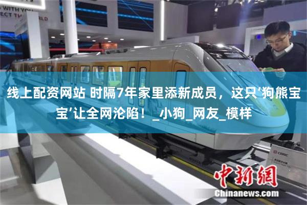 线上配资网站 时隔7年家里添新成员，这只‘狗熊宝宝’让全网沦