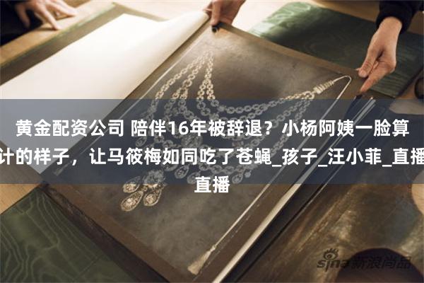 黄金配资公司 陪伴16年被辞退？小杨阿姨一脸算计的样子，让马