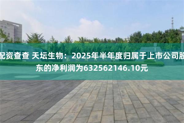 配资查查 天坛生物：2025年半年度归属于上市公司股东的净利