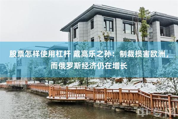 股票怎样使用杠杆 戴高乐之孙：制裁损害欧洲，而俄罗斯经济仍在